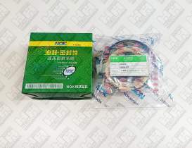 Ремкомплект для гусеничный экскаватор KOMATSU PC220-7 (707-99-47790, 707-99-47790, 707-98-47841)